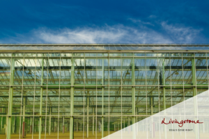 Livingstone has advised Dalsem on the sale to COFRA Holding featured image