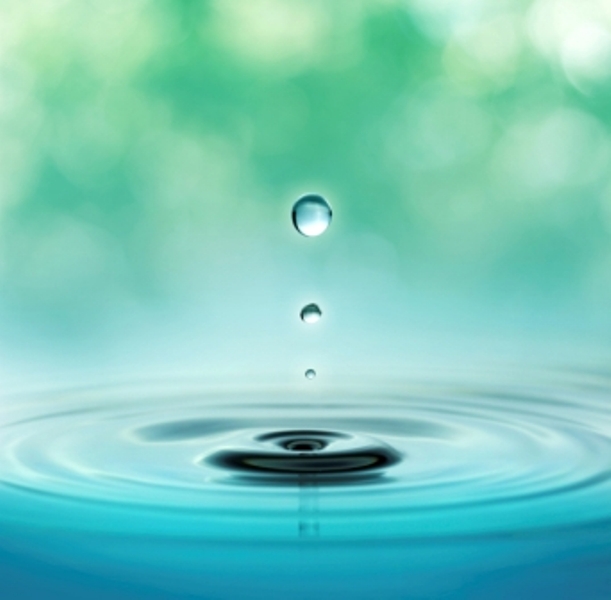 Livingstone provides resources to grow featured image