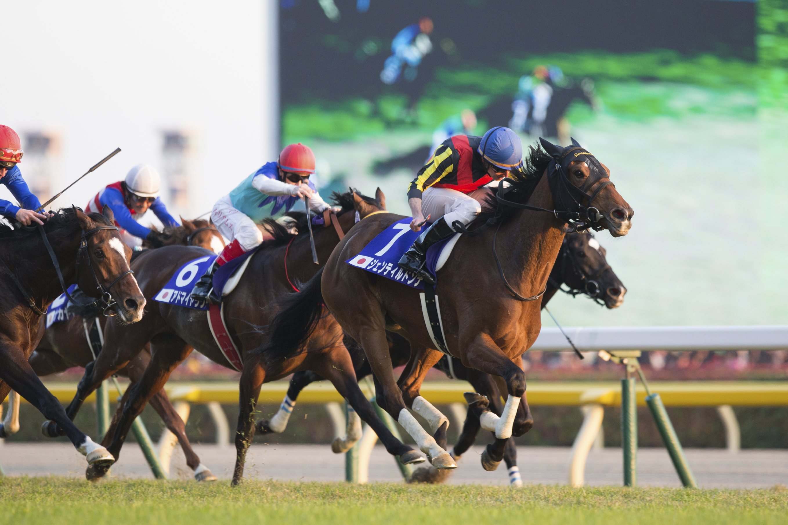 German Tote enters into strategic partnership with French PMU featured image