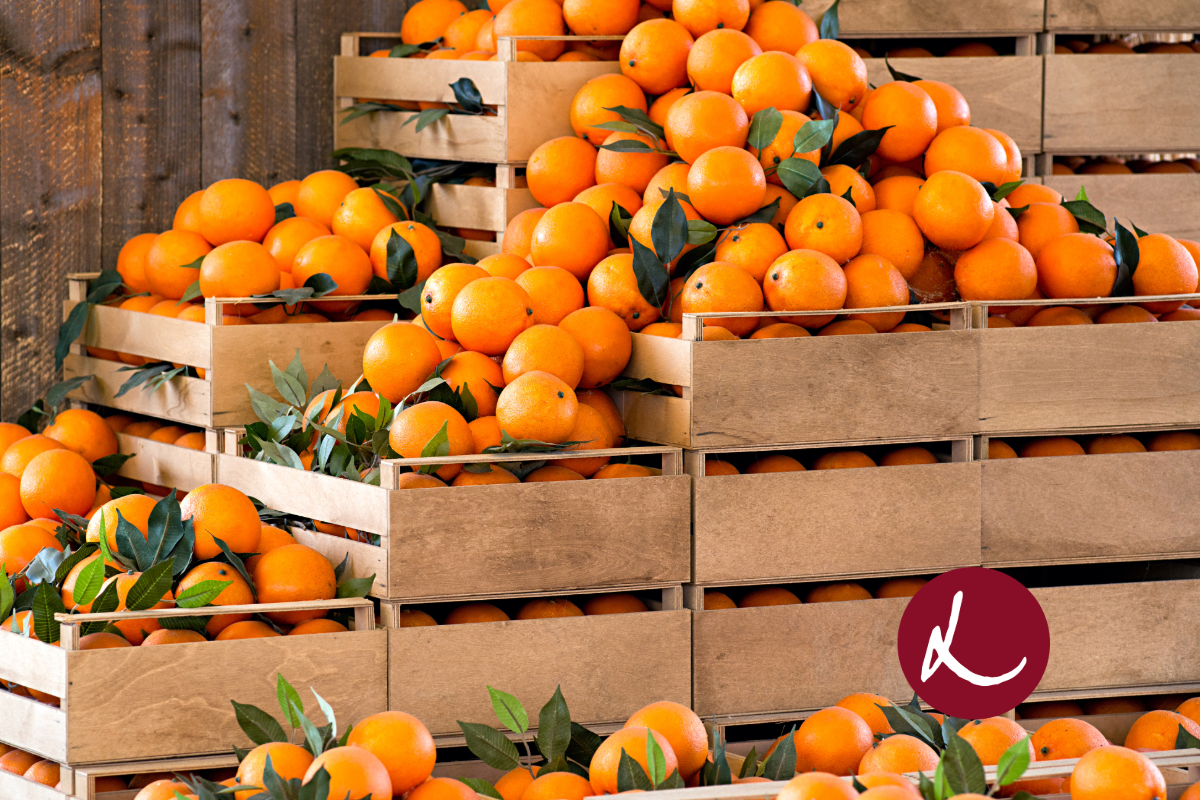 Livingstone has advised Frutas Tono on its merger with Guillem Export featured image