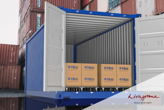 All in the Family featured image