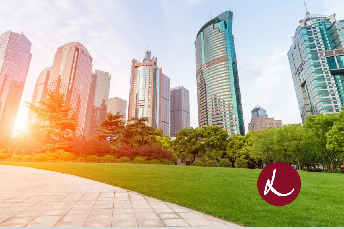Livingstone Advises Kincannon & Reed on Recapitalization featured image