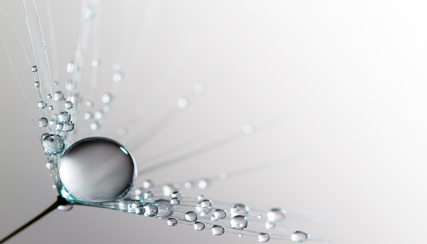 Harvey Water Softeners has been acquired by Culligan International featured image